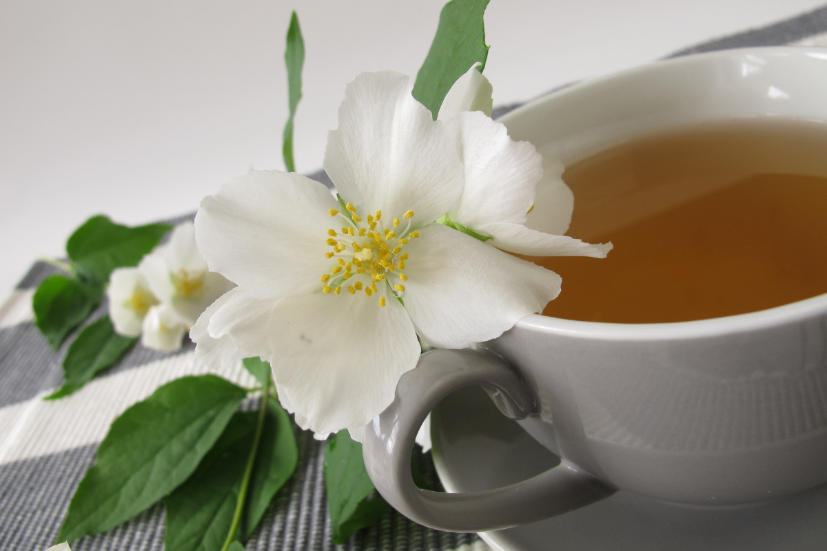 właściwości białej herbaty