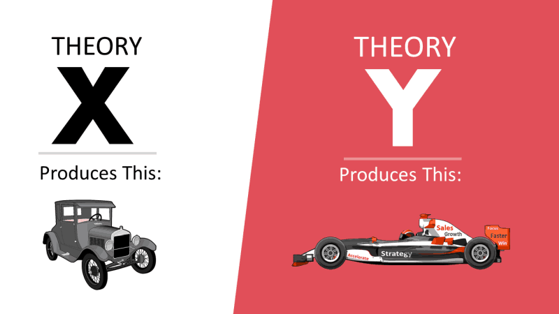 Na czym polega teoria X i Y?