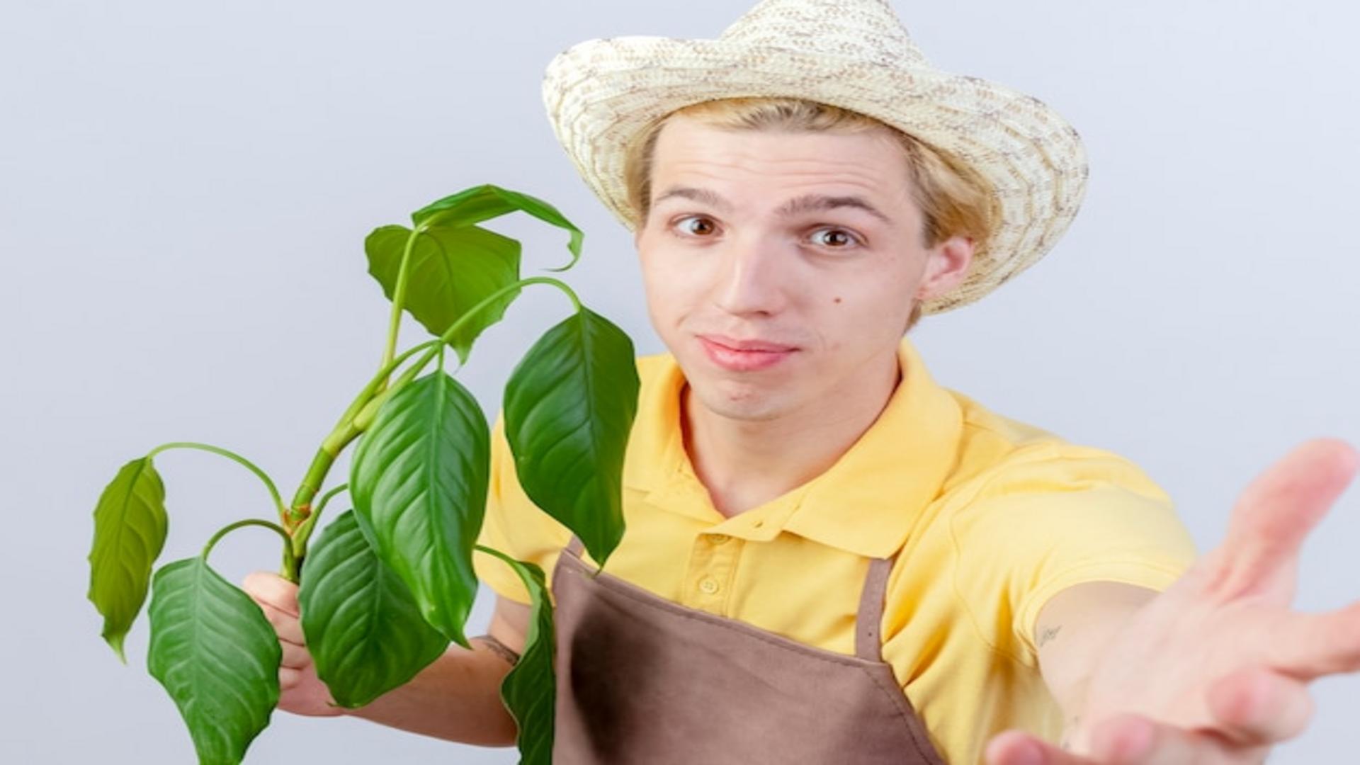 Odkryj tajemnice pracy organicznej – co to właściwie jest?